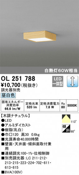 ODELIC ǥå 󥰥饤 OL251788 ᥤ̿