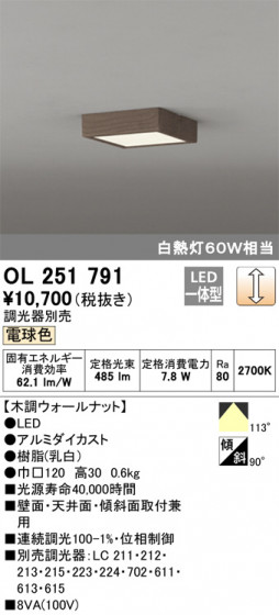 ODELIC ǥå 󥰥饤 OL251791 ᥤ̿