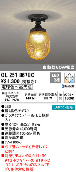 ODELIC ǥå 󥰥饤 OL251867BC ᥤ̿