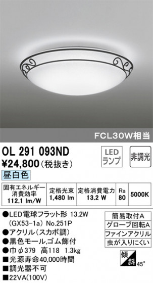 ODELIC ǥå 󥰥饤 OL291093ND ᥤ̿
