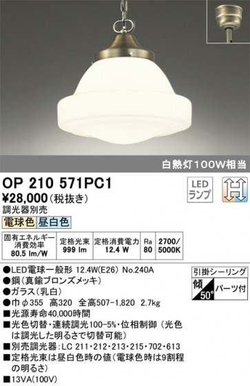 ODELIC ǥå ڥȥ饤 OP210571PC1 ᥤ̿