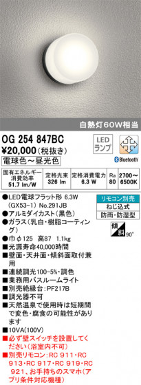 ODELIC ǥå Х롼饤 OG254847BC ᥤ̿