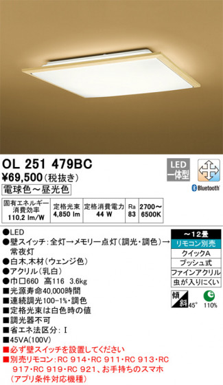 ODELIC ǥå 󥰥饤 OL251479BC ᥤ̿
