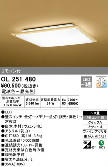 ODELIC ǥå 󥰥饤 OL251480 ᥤ̿