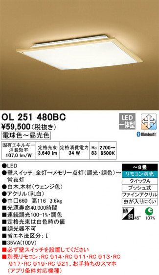 ODELIC ǥå 󥰥饤 OL251480BC ᥤ̿