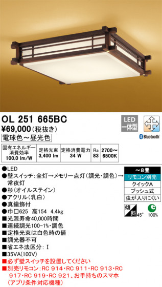 ODELIC ǥå 󥰥饤 OL251665BC ᥤ̿