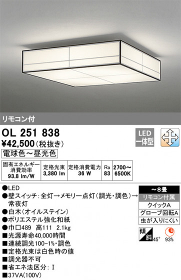 ODELIC ǥå 󥰥饤 OL251838 ᥤ̿