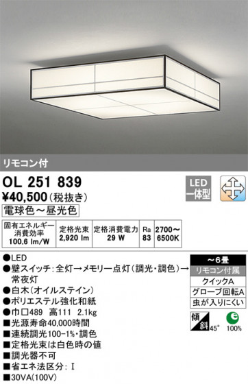 ODELIC ǥå 󥰥饤 OL251839 ᥤ̿