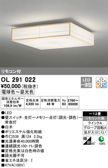ODELIC ǥå 󥰥饤 OL291022 ᥤ̿
