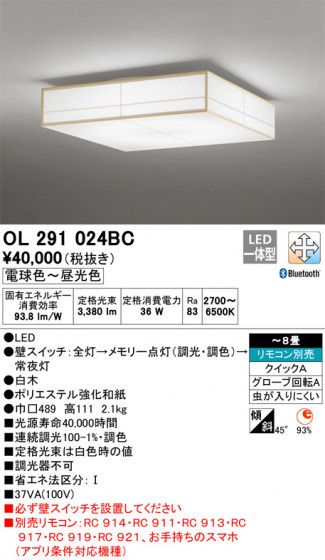 ODELIC ǥå 󥰥饤 OL291024BC ᥤ̿
