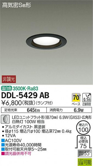 ʼ̿ | DAIKO ŵ 饤 DDL-5429AB | ̿䡦ƥꥢΡڥ饤ȥ