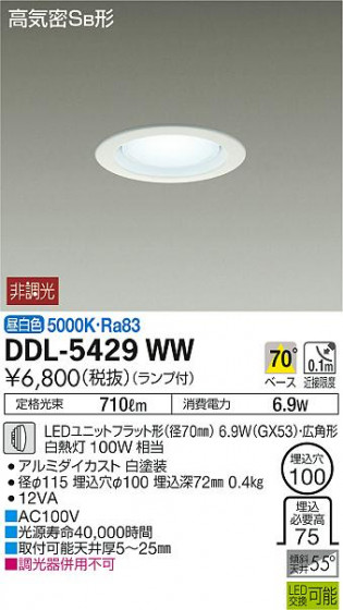 ʼ̿ | DAIKO ŵ 饤 DDL-5429WW | ̿䡦ƥꥢΡڥ饤ȥ