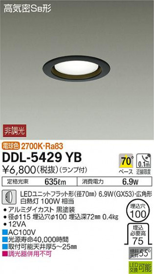 ʼ̿ | DAIKO ŵ 饤 DDL-5429YB | ̿䡦ƥꥢΡڥ饤ȥ