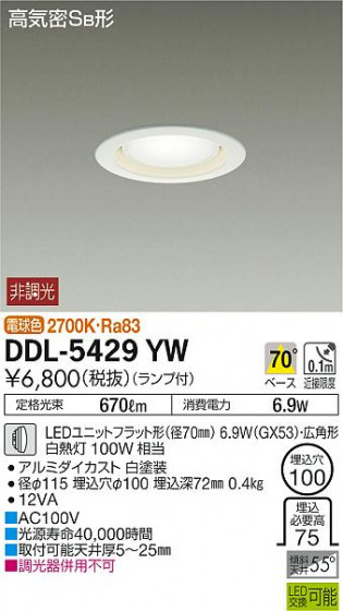 ʼ̿ | DAIKO ŵ 饤 DDL-5429YW | ̿䡦ƥꥢΡڥ饤ȥ