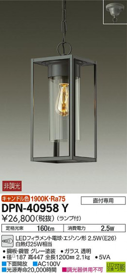 ʼ̿ | DAIKO ŵ ڥ DPN-40958Y | ̿䡦ƥꥢΡڥ饤ȥ