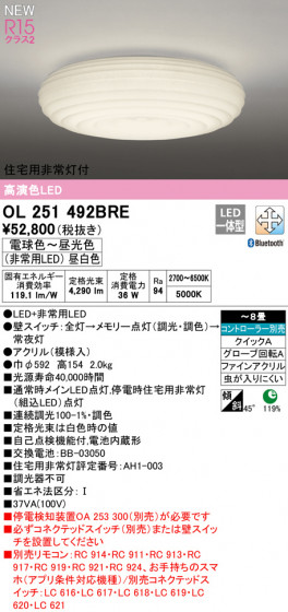 ODELIC ǥå 󥰥饤 OL251492BRE ᥤ̿