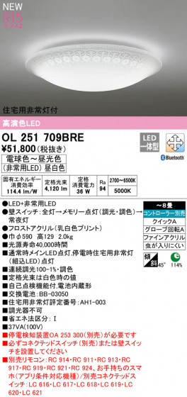 ODELIC ǥå 󥰥饤 OL251709BRE ᥤ̿
