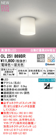 ODELIC ǥå 󥰥饤 OL251869BR ᥤ̿
