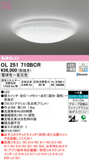 ODELIC ǥå 󥰥饤 OL251710BCR ᥤ̿