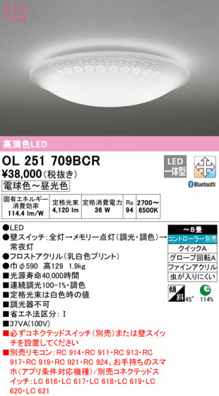 ODELIC ǥå 󥰥饤 OL251709BCR ᥤ̿