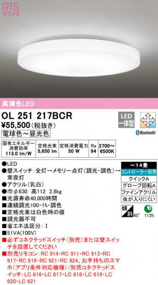 ODELIC ǥå 󥰥饤 OL251217BCR ᥤ̿