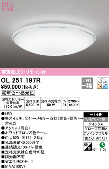 ODELIC ǥå 󥰥饤 OL251197R ᥤ̿