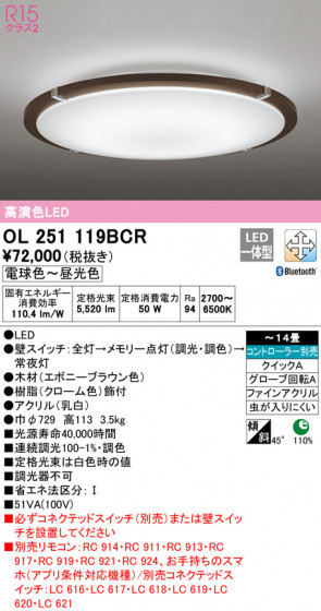 ODELIC ǥå 󥰥饤 OL251119BCR ᥤ̿