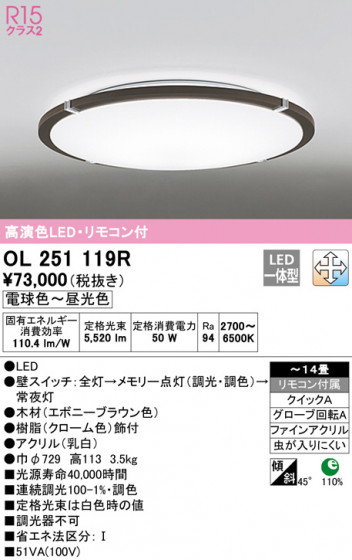 ODELIC ǥå 󥰥饤 OL251119R ᥤ̿