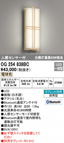 ODELIC ǥå ƥꥢ饤 OG254838BC ᥤ̿
