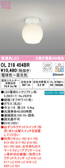 ODELIC ǥå 󥰥饤 OL218454BR ᥤ̿