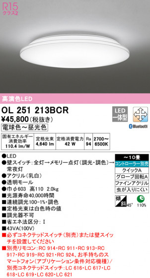 ODELIC ǥå 󥰥饤 OL251213BCR ᥤ̿