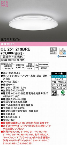 ODELIC ǥå 󥰥饤 OL251213BRE ᥤ̿