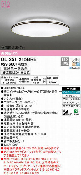 ODELIC ǥå 󥰥饤 OL251215BRE ᥤ̿