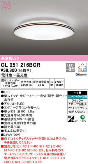 ODELIC ǥå 󥰥饤 OL251216BCR ᥤ̿