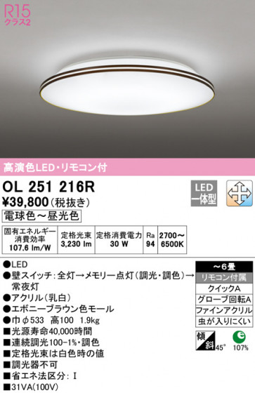 ODELIC ǥå 󥰥饤 OL251216R ᥤ̿