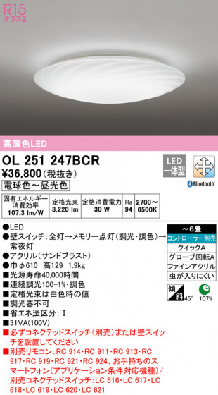 ODELIC ǥå 󥰥饤 OL251247BCR ᥤ̿
