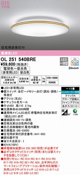 ODELIC ǥå 󥰥饤 OL251540BRE ᥤ̿