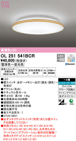 ODELIC ǥå 󥰥饤 OL251541BCR ᥤ̿