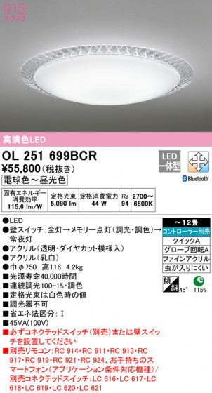 ODELIC ǥå 󥰥饤 OL251699BCR ᥤ̿