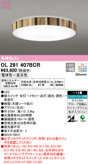 ODELIC ǥå 󥰥饤 OL291407BCR ᥤ̿