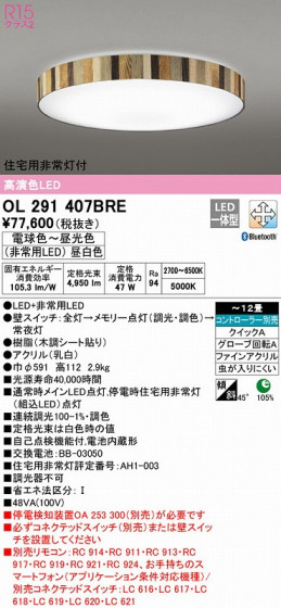 ODELIC ǥå 󥰥饤 OL291407BRE ᥤ̿