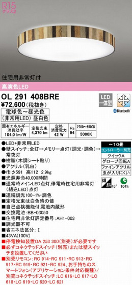 ODELIC ǥå 󥰥饤 OL291408BRE ᥤ̿