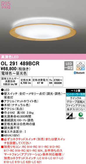 ODELIC ǥå 󥰥饤 OL291489BCR ᥤ̿