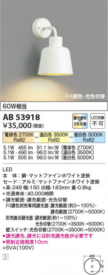 β Koizumi ߾ ֥饱åAB53918