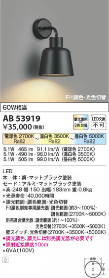 β Koizumi ߾ ֥饱åAB53919