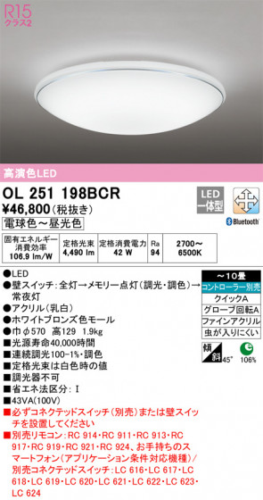 ñʲ | ODELIC ǥå 󥰥饤 OL251198BCR | LEDη¡ʰ Ҹ