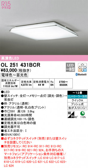ñʲ | ODELIC ǥå 󥰥饤 OL251431BCR | LEDη¡ʰ Ҹ