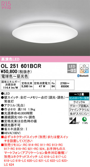 ñʲ | ODELIC ǥå 󥰥饤 OL251601BCR | LEDη¡ʰ Ҹ