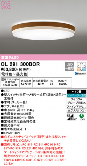 ñʲ | ODELIC ǥå 󥰥饤 OL291300BCR | LEDη¡ʰ Ҹ