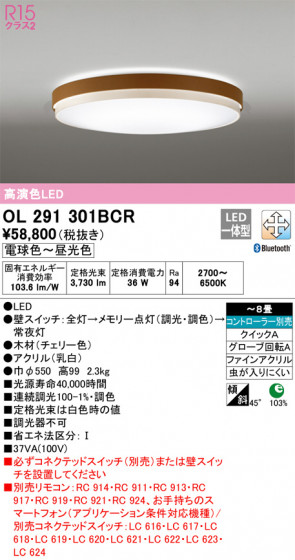 ñʲ | ODELIC ǥå 󥰥饤 OL291301BCR | LEDη¡ʰ Ҹ